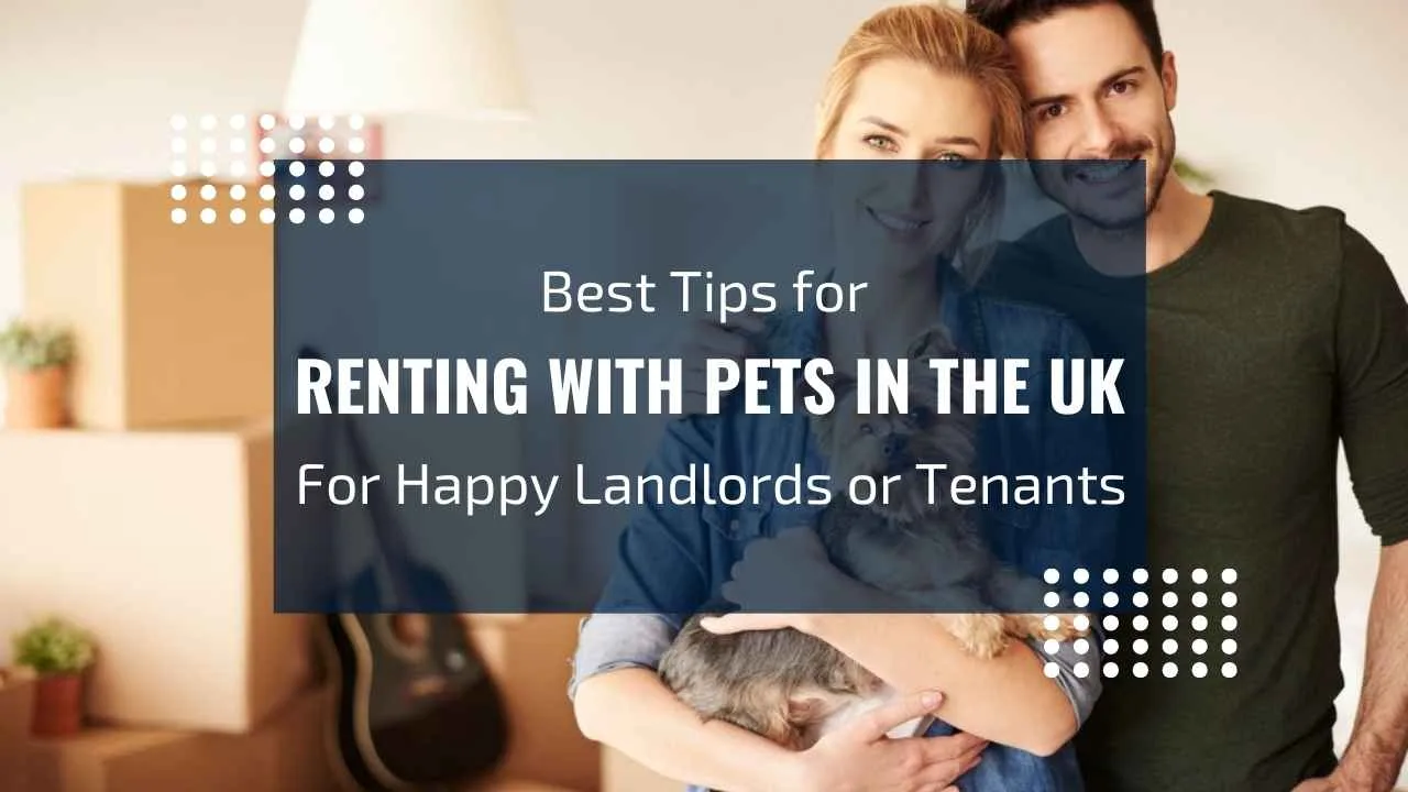 Best Tips for Renting With Pets in the UK