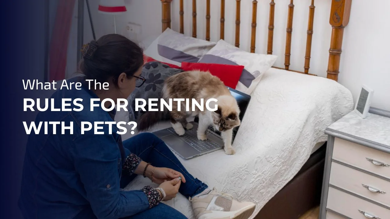 Understanding the rules and preparing properly