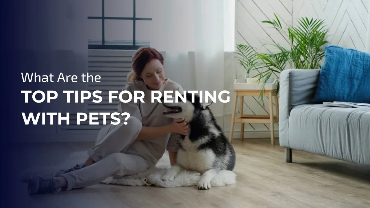 Top Tips for Renting with Pets