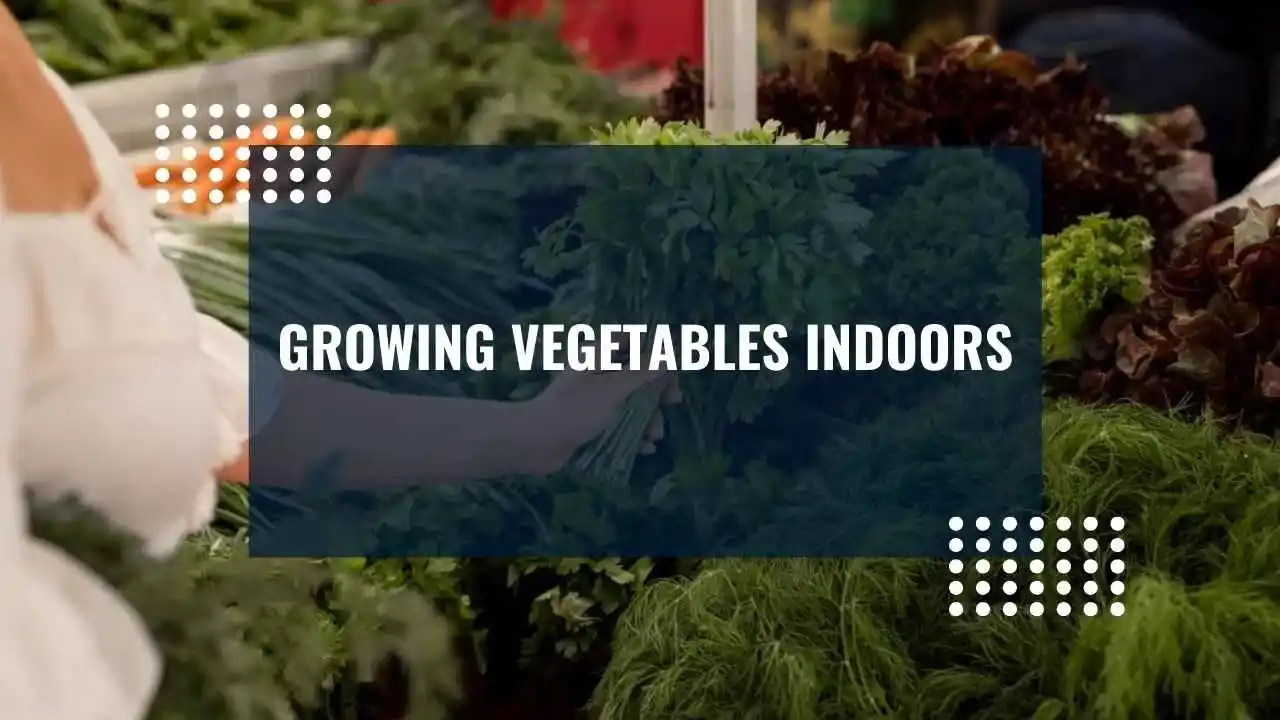 Growing Vegetables Indoors in London