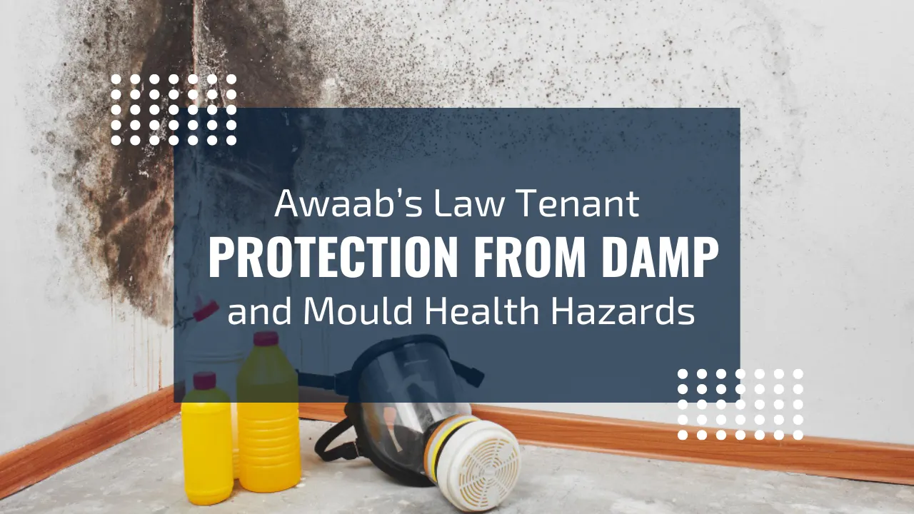 Damp and mould in social housing property requiring repair under Awaab's Law