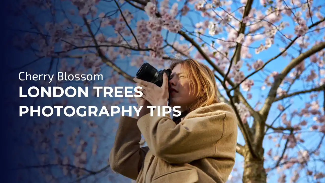 Cherry Blossom London Trees Photography Tips