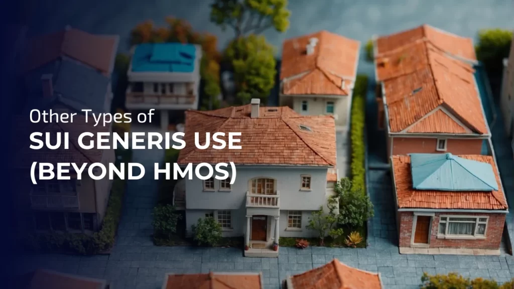Other Types of Sui Generis
